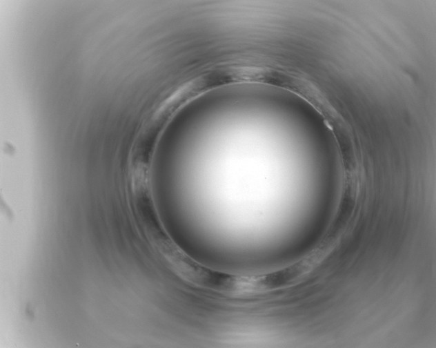 X0000090950093200708091336