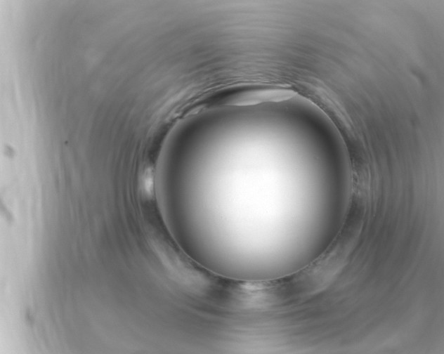 X0000090950095200708091336