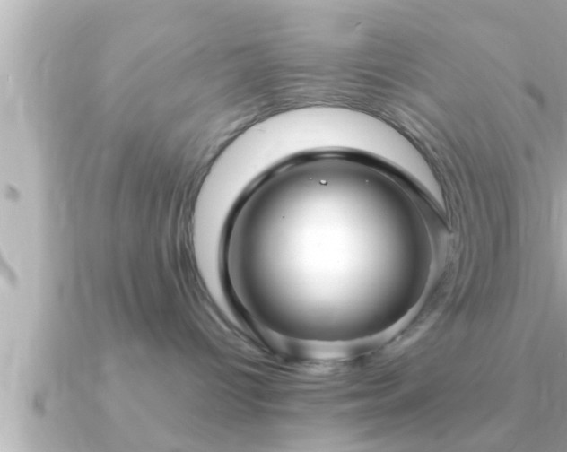 X0000090950096200708091336