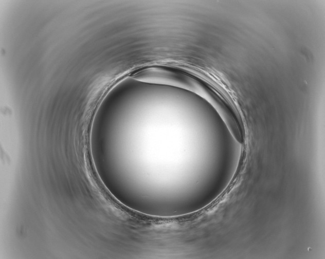 X0000090950097200708091335