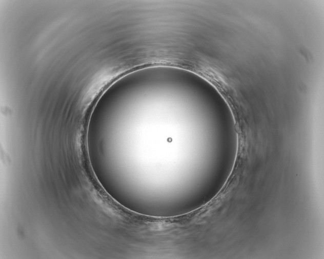 X0000090950098200708091335