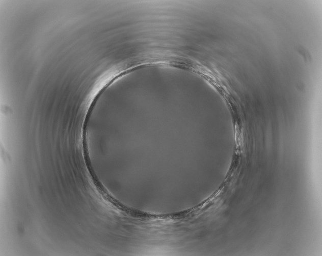 X0000090950099200708091335