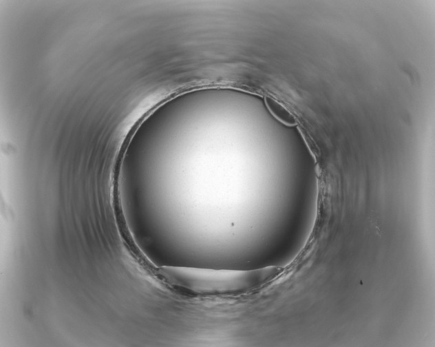 X0000090950100200708091335