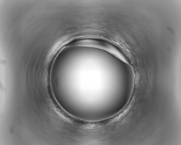 X0000090950101200708091335