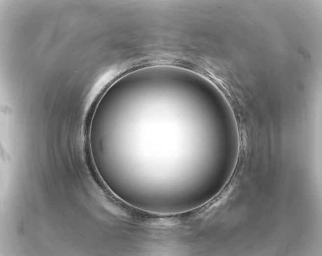 X0000090950102200708091335