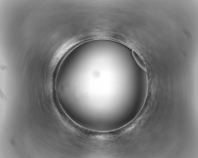 X0000090950103200708091335
