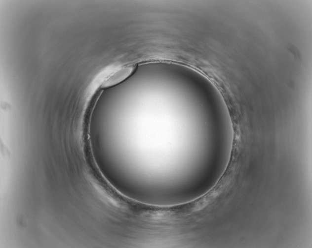 X0000090950104200708091335