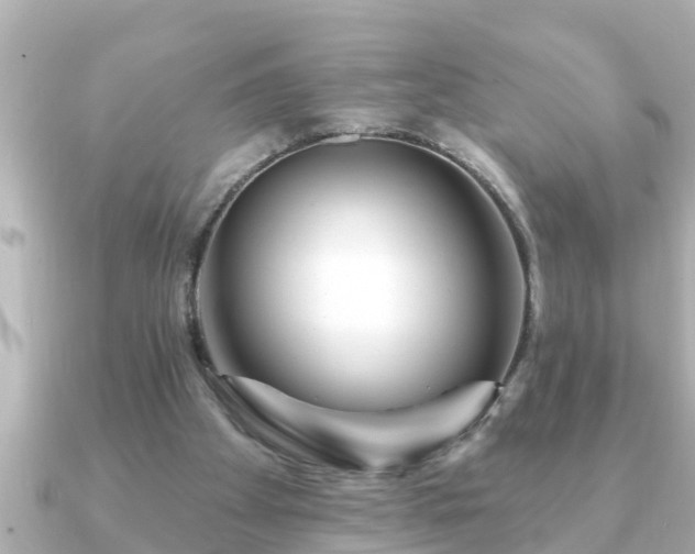X0000090950105200708091335