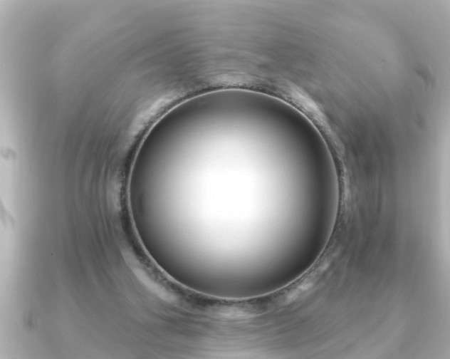 X0000090950106200708091335