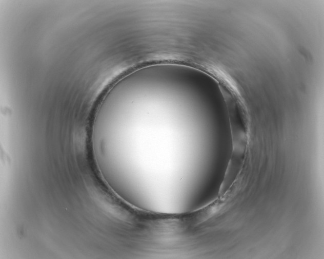 X0000090950108200708091335