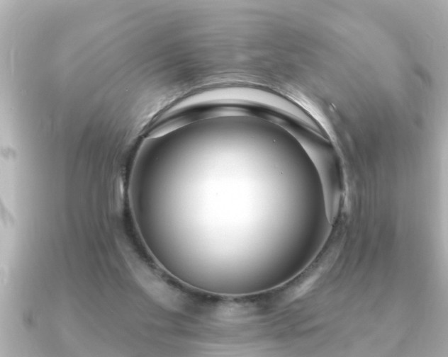 X0000090950109200708091335