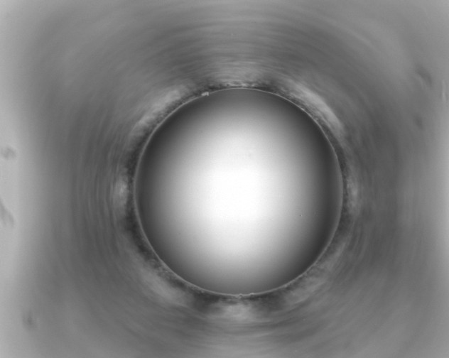 X0000090950113200708091335
