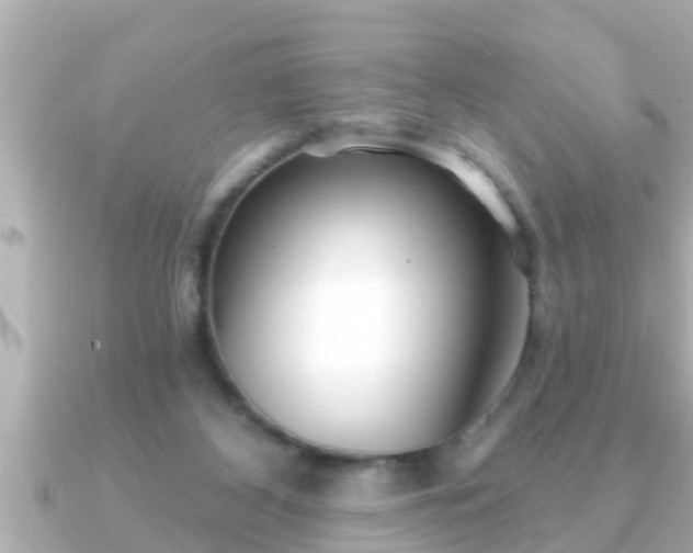 X0000090950116200708091335
