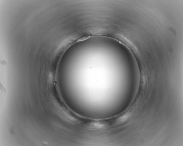 X0000090950117200708091335