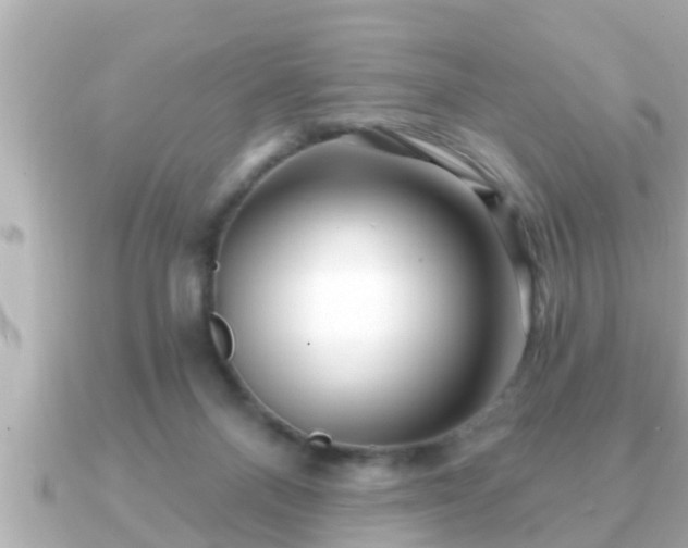 X0000090950120200708091335