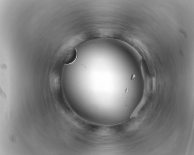 X0000090950123200708091335
