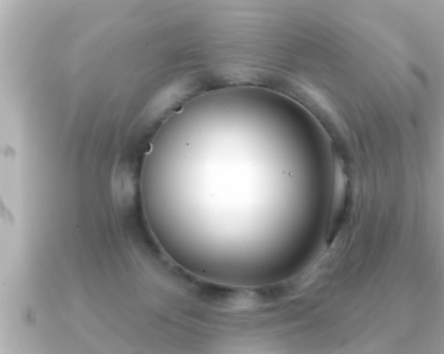 X0000090950124200708091335