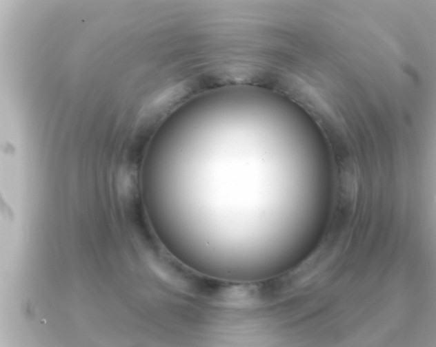 X0000090950126200708091335