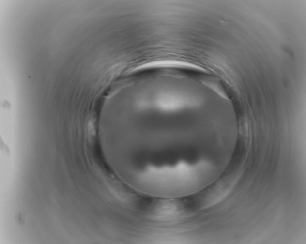 X0000090950127200708091335