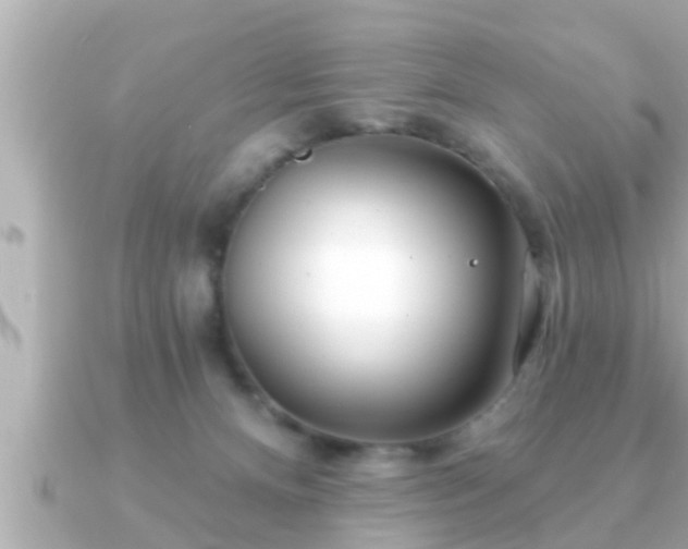 X0000090950128200708091335