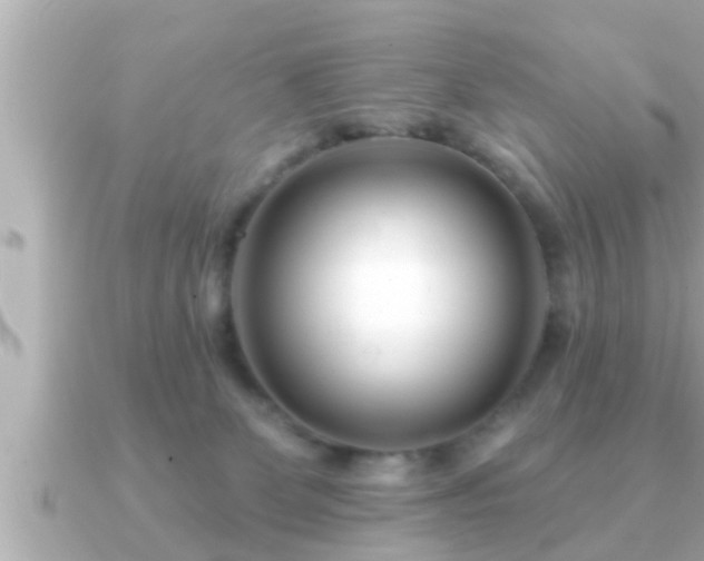X0000090950131200708091335