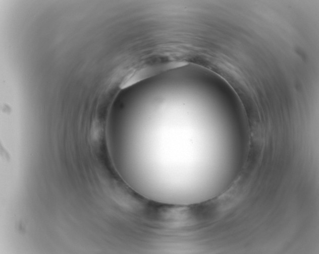 X0000090950132200708091335