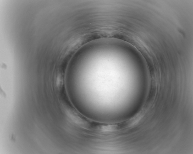 X0000090950134200708091335