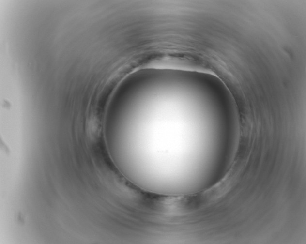 X0000090950136200708091335