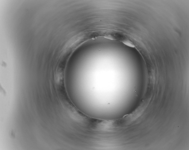 X0000090950138200708091335