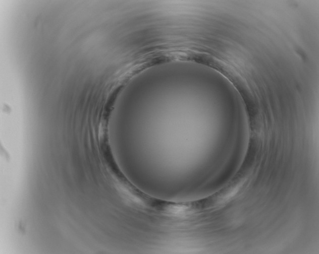 X0000090950139200708091335