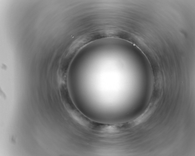X0000090950140200708091335