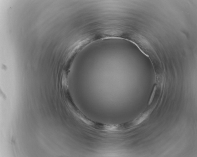 X0000090950143200708091335