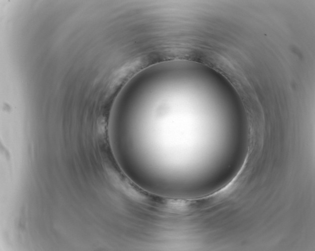 X0000090950144200708091335