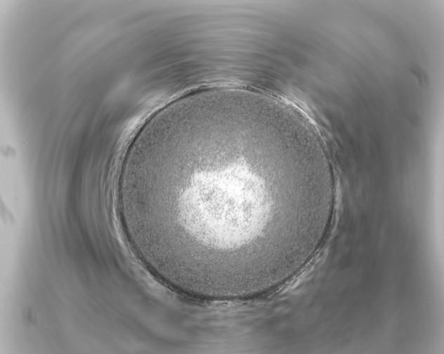 X0000090950145200708091334