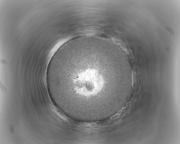 X0000090950147200708091334
