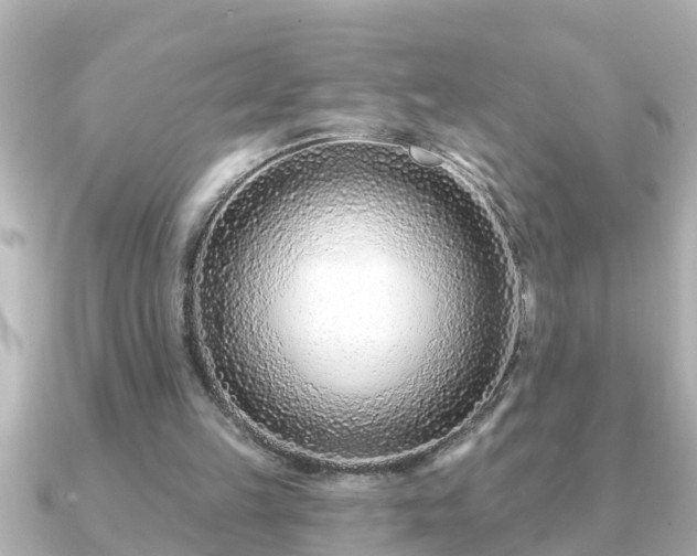X0000090950149200708091334