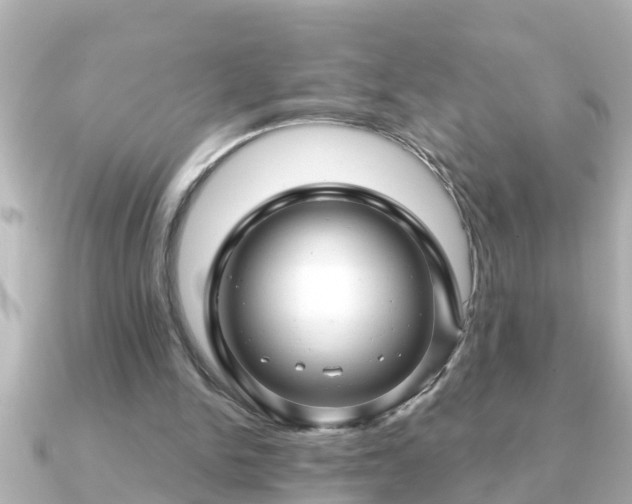 X0000090950150200708091334