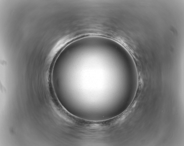 X0000090950151200708091334