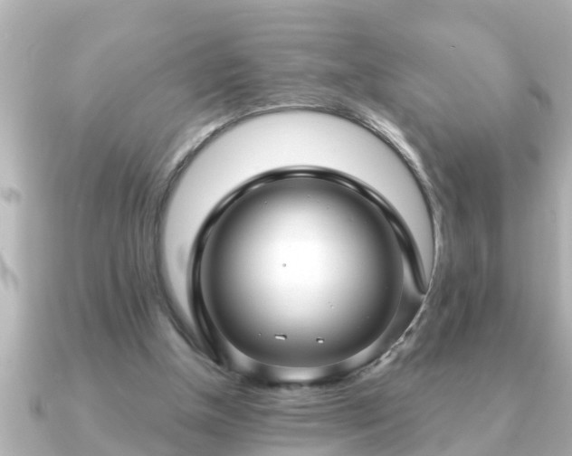 X0000090950154200708091334