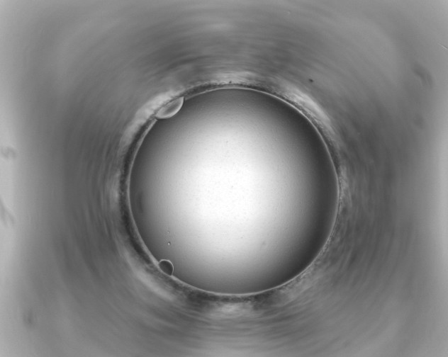 X0000090950155200708091334