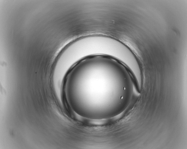X0000090950156200708091334