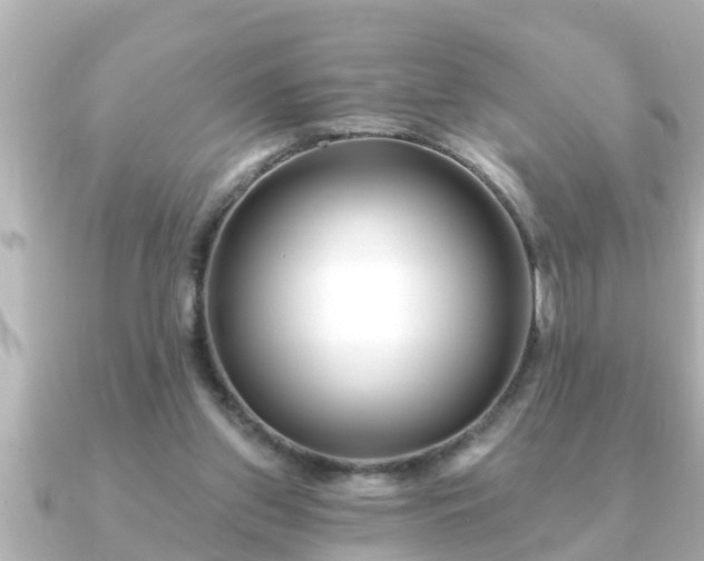X0000090950157200708091334