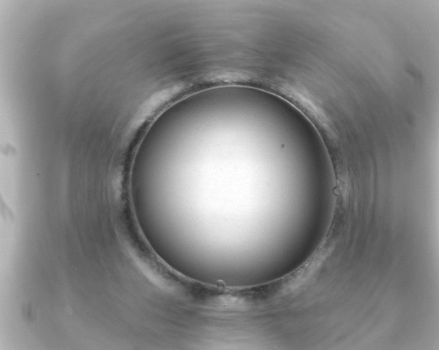 X0000090950159200708091334