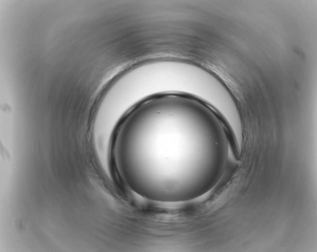 X0000090950160200708091334
