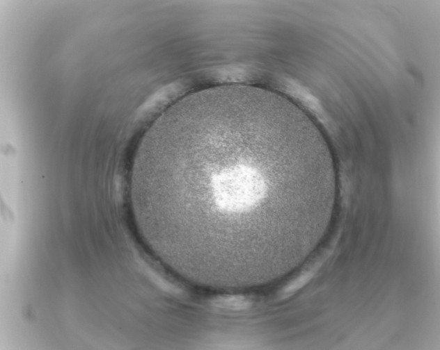 X0000090950161200708091334