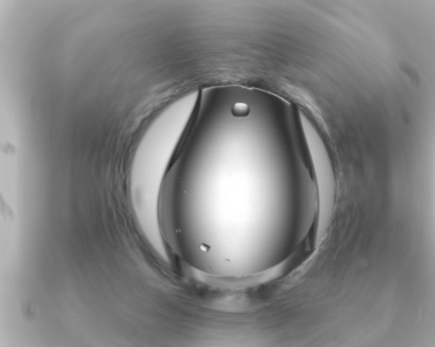 X0000090950162200708091334