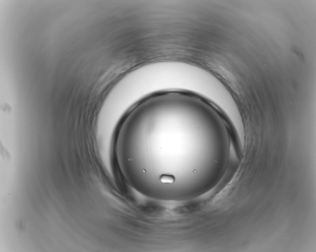 X0000090950166200708091334