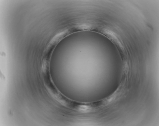 X0000090950167200708091334