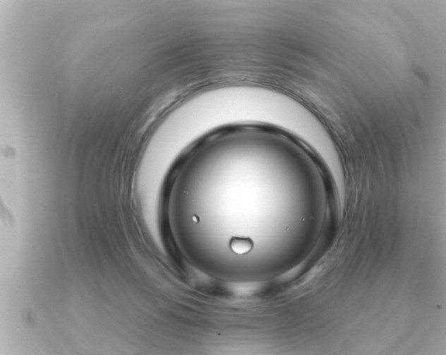 X0000090950168200708091334