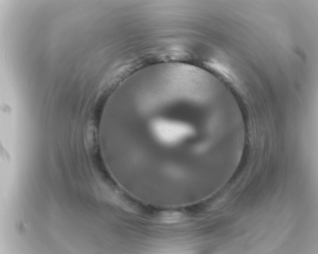 X0000090950169200708091334